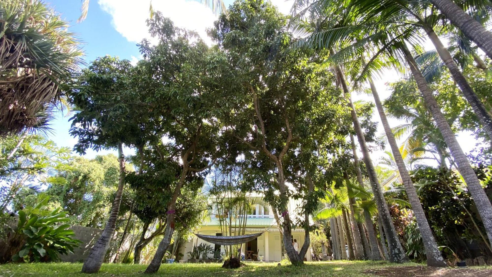 סן-פייר Coliver - Coliving A La Reunion מראה חיצוני תמונה