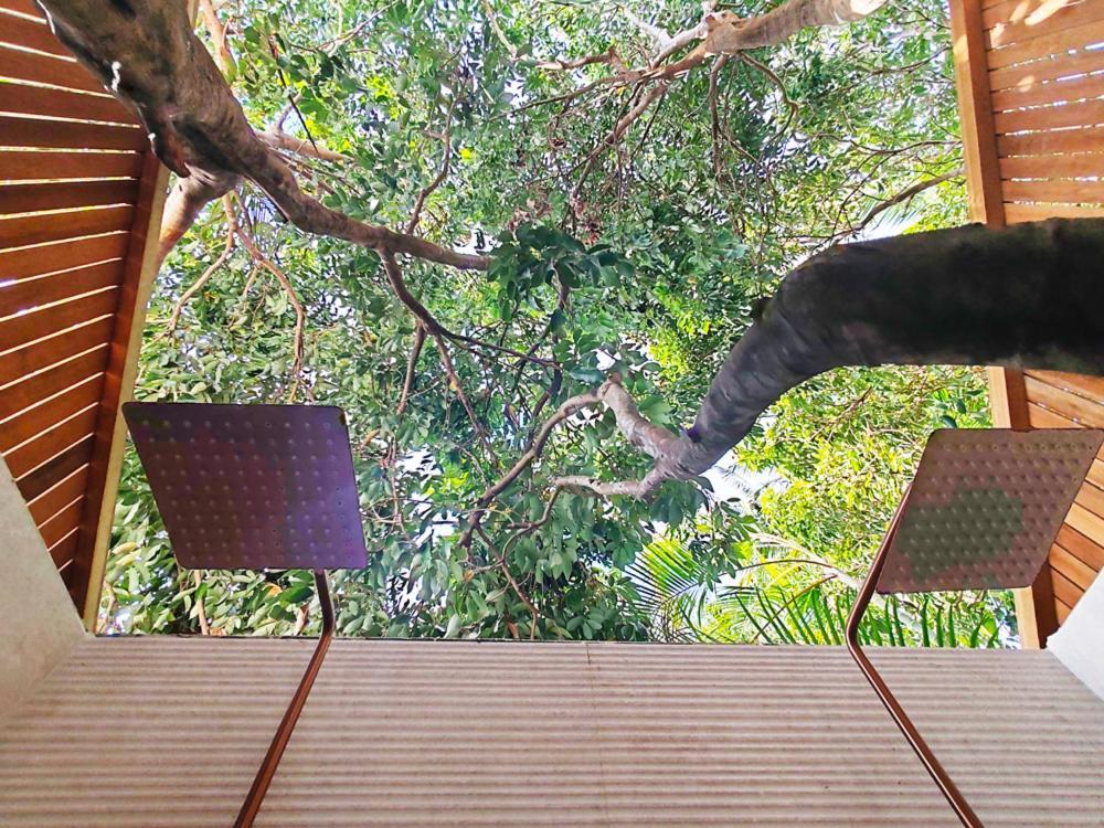 סן-פייר Coliver - Coliving A La Reunion מראה חיצוני תמונה