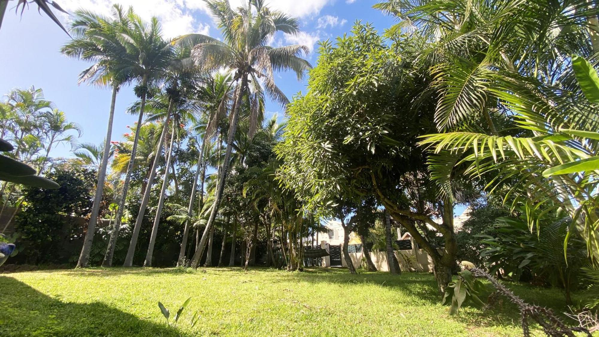 סן-פייר Coliver - Coliving A La Reunion מראה חיצוני תמונה