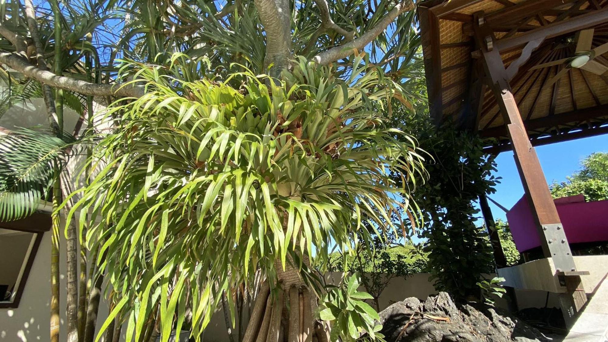 סן-פייר Coliver - Coliving A La Reunion מראה חיצוני תמונה