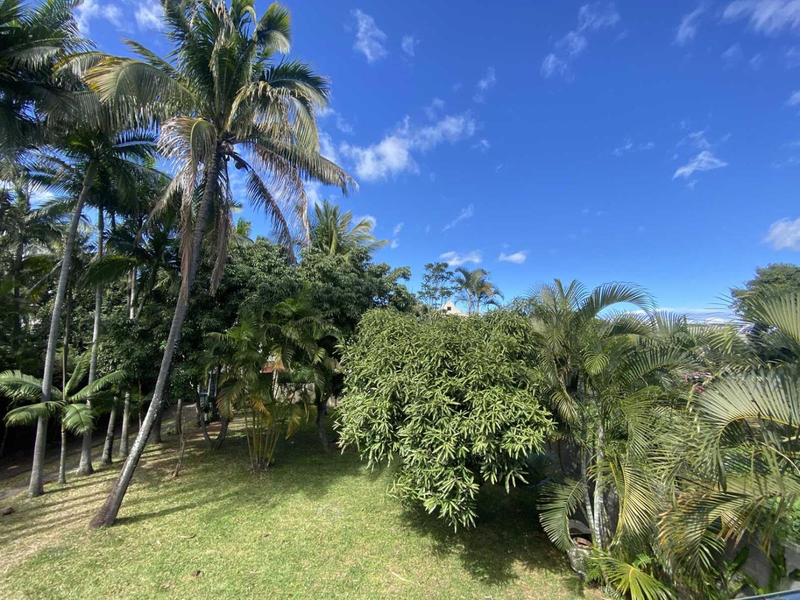סן-פייר Coliver - Coliving A La Reunion מראה חיצוני תמונה
