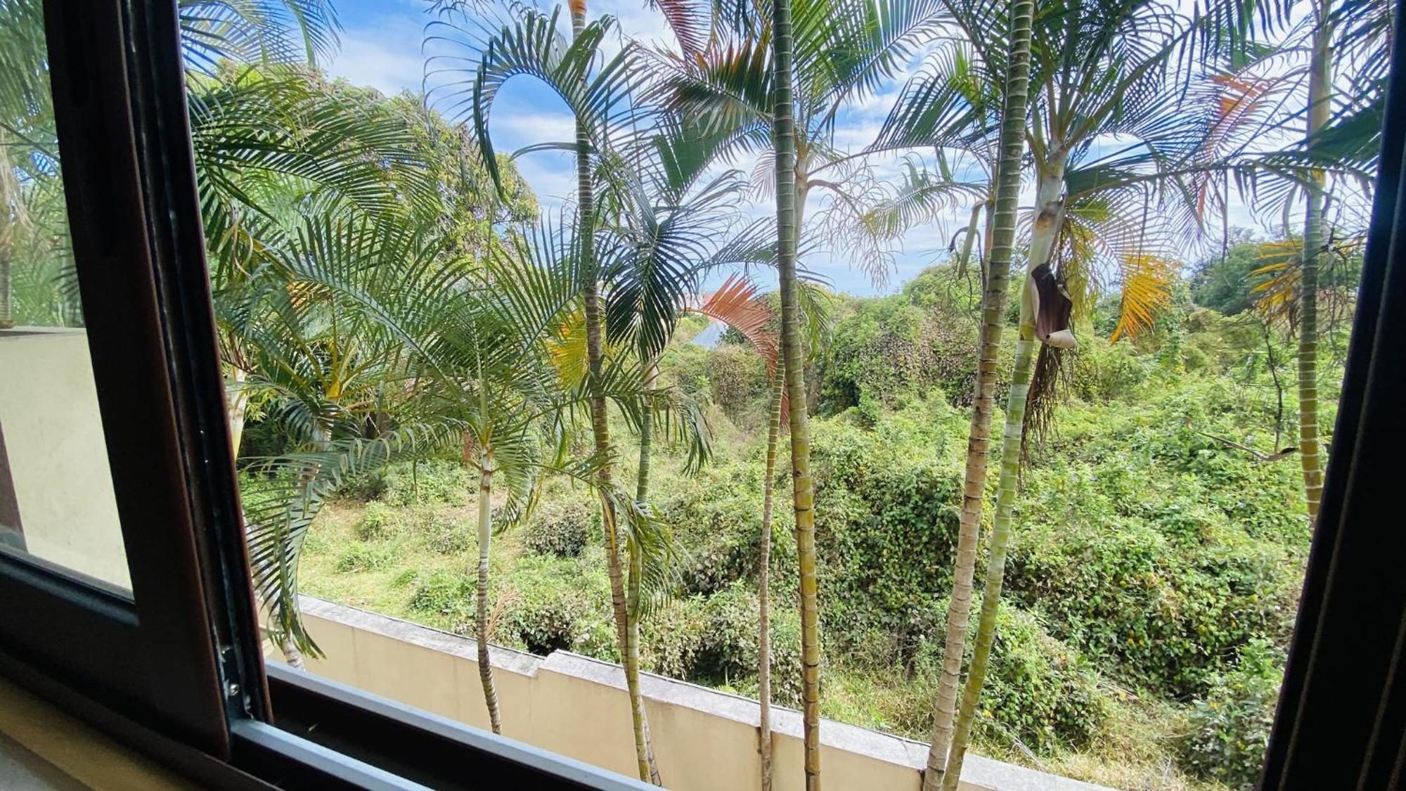 סן-פייר Coliver - Coliving A La Reunion מראה חיצוני תמונה